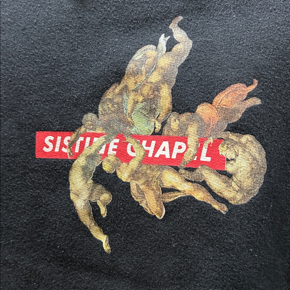 ZARA Sistine Chapel Cropped Hoodie - Picture 5 of 13
